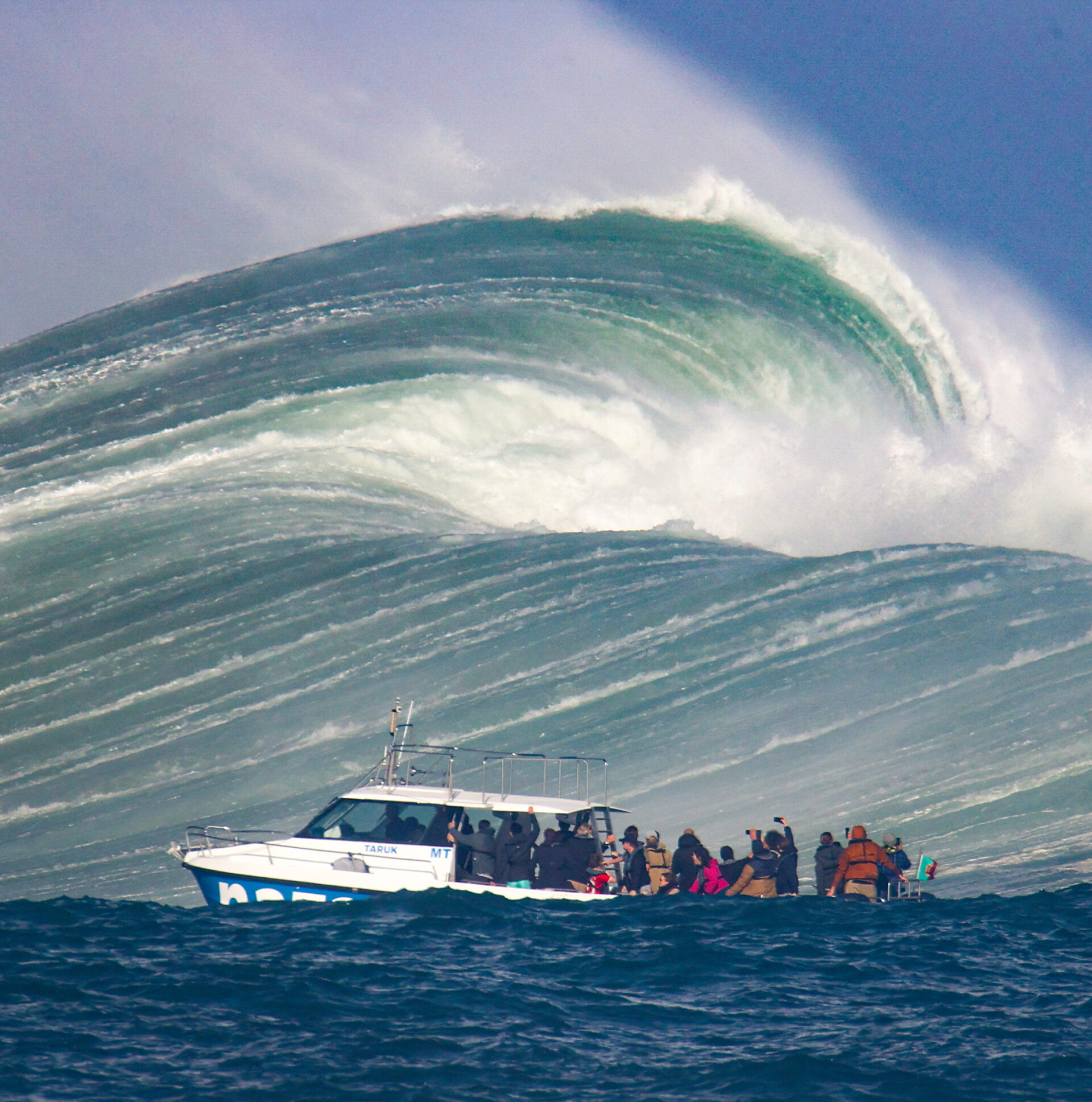Tourists observe and record a giant wave in Nazare with their Smartphones This Picture won the first Prixe in "Nazare Winter Sesions Photo Contes 2022" in Nazare Category